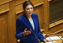 Σ. Ζαχαράκη: Η ίδρυση της ΑΣΠΤ εκπληρώνει το όραμα χρόνων του καλλιτεχνικού και δημιουργικού κόσμου της χώρας