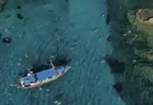 Αγγελόψαρο: Το νέο ξενικό είδος που ταξίδεψε στις ελληνικές θάλασσες από τον Ινδικό Ωκεανό