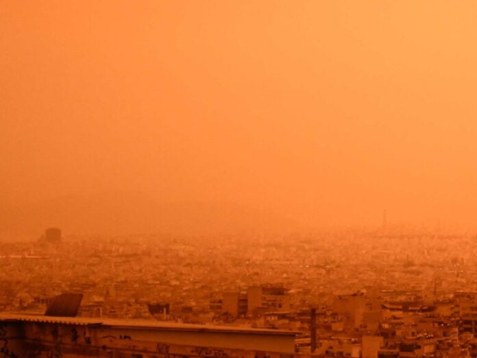 afrikaniki-skoni-1-1-scaled-1-768x576