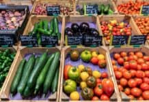 Πόλεμος, αύξηση στις τιμές των τροφίμων και η ανάγκη για στροφή στη βιώσιμη γεωργία