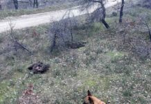 Ανοιχτή Επιστολή της Ομάδας Εργασίας Ενάντια στα Δηλητήρια προς την ηγεσία του ΥΠΕΝ