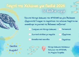 Γιορτή Χελώνας για Παιδιά 2026 «Σε Βαθιά Νερά»
