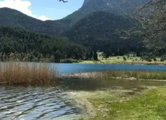 Natura 2000: Εγκρίθηκε νέα Ειδική Περιβαλλοντική Μελέτη για Ήπειρο και Δυτική Μακεδονία