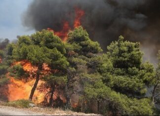 Ο αθέατος κίνδυνος από τον καπνό των πυρκαγιών: Τι δείχνουν τα νέα δεδομένα για τον καρκίνο