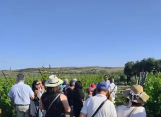 Με επιτυχία η εκδήλωση «Κρητικές Γεύσεις με Ταυτότητα. ΠΟΠ, παράδοση και βιωσιμότητα»