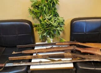 Μαλεβίζι: Χειροπέδες σε δύο άτομα μετά από έφοδο σε σπίτια και στάνη – Βρέθηκαν όπλα, χιλιάδες ευρώ και δενδρύλλια