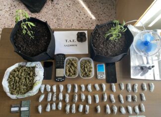 Χειροπέδες σε δύο νεαρούς στην Ιεράπετρα για υδροπονική κάνναβη και εμπορία
